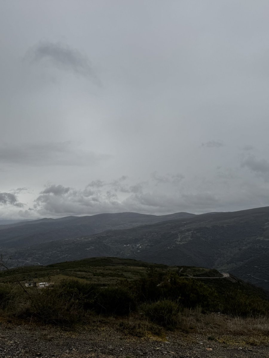 spot cas tweet media