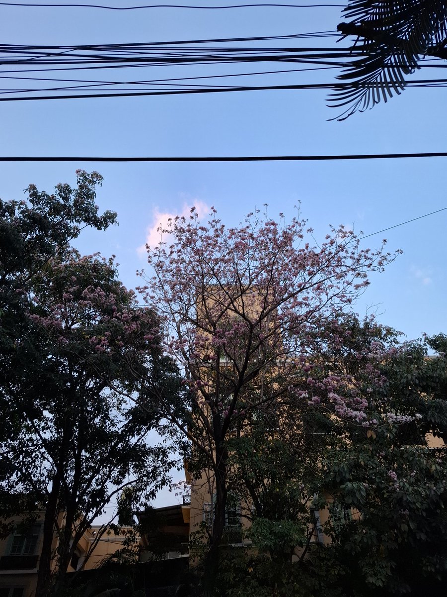 SolidBoosters2 🇮🇳 tweet media