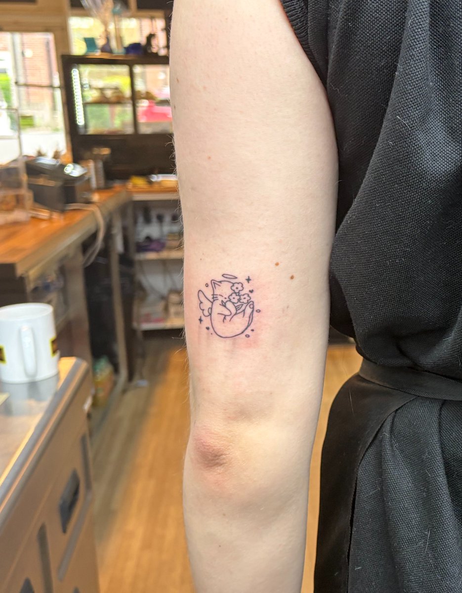 *ੈ⁺‧₊˚ Kasey ˚₊‧⁺ *ੈ tweet media