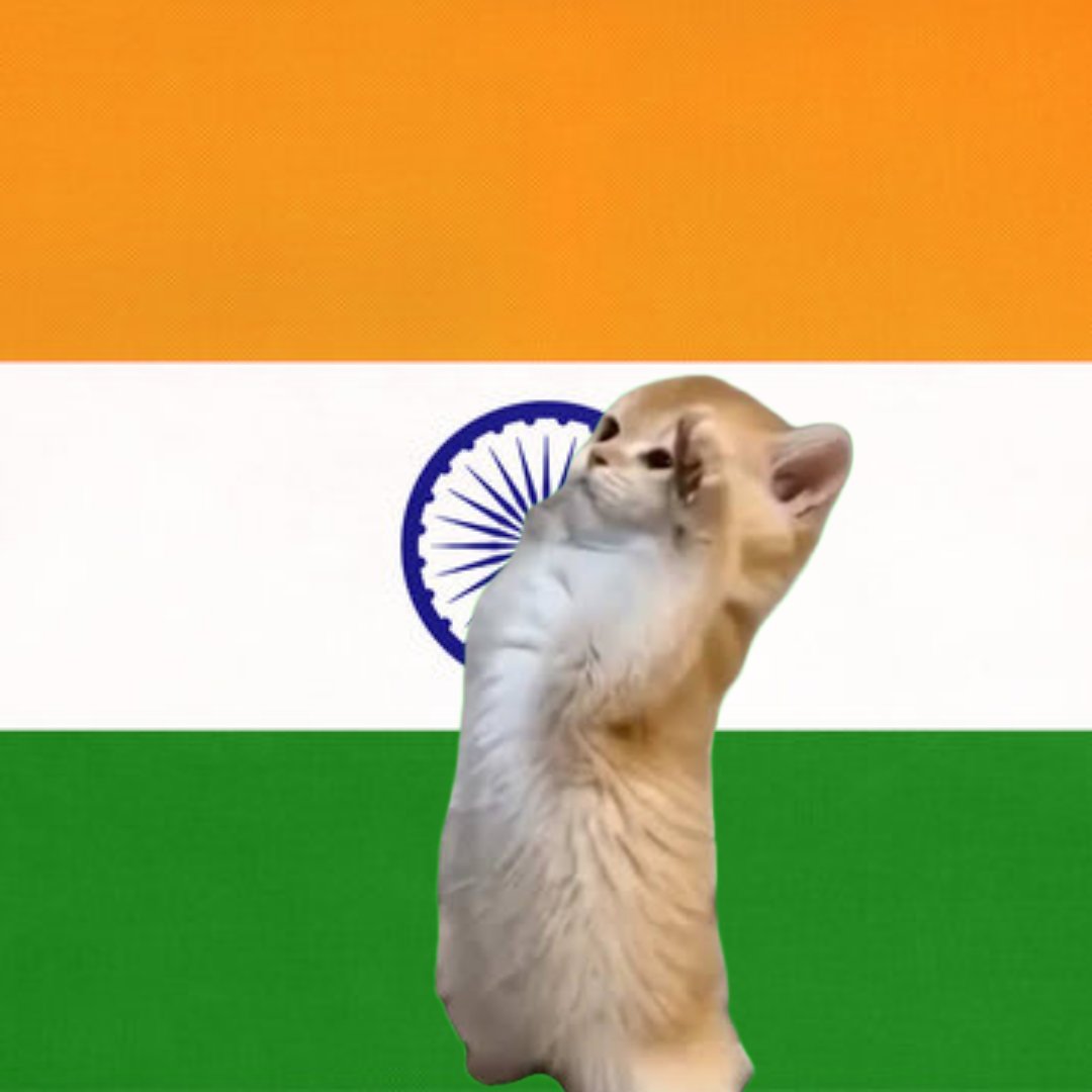 Beats in Brief 🗞️ tweet media