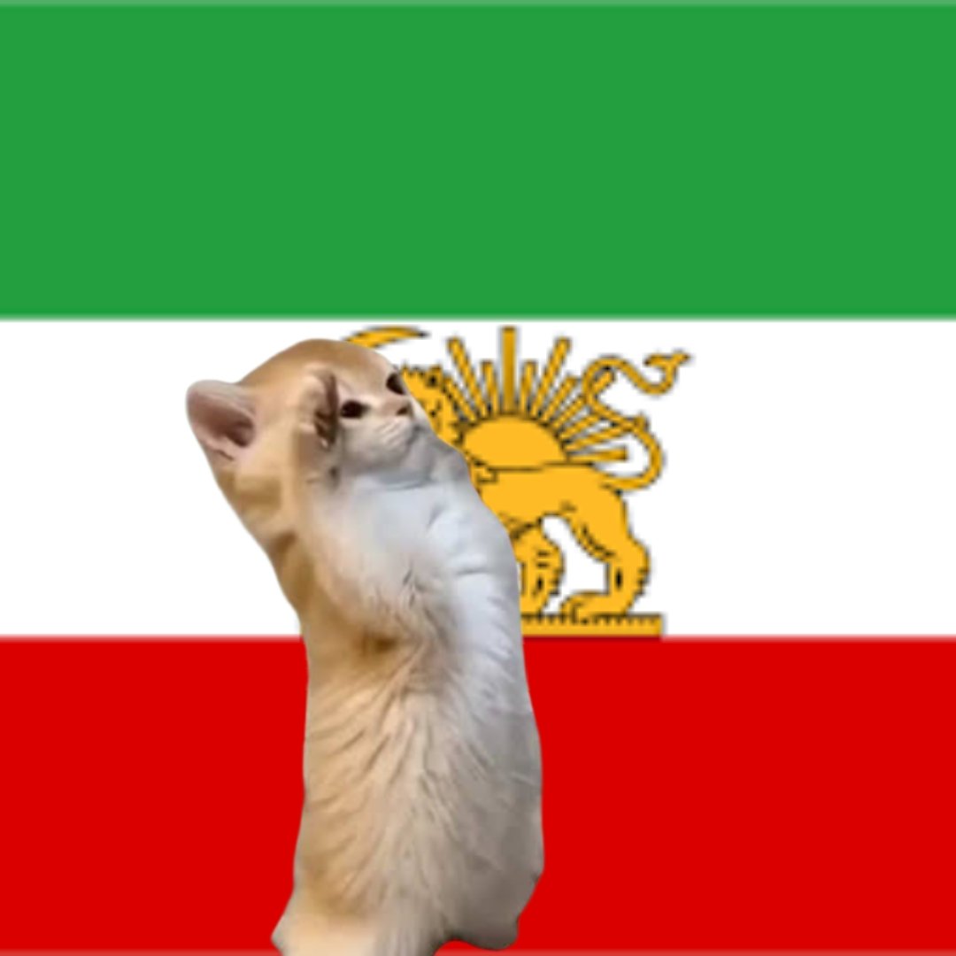 Beats in Brief 🗞️ tweet media