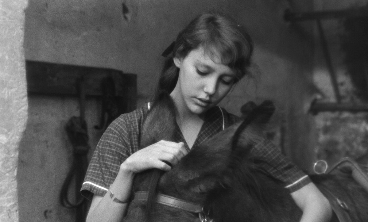 リアルサウンド映画部 tweet media