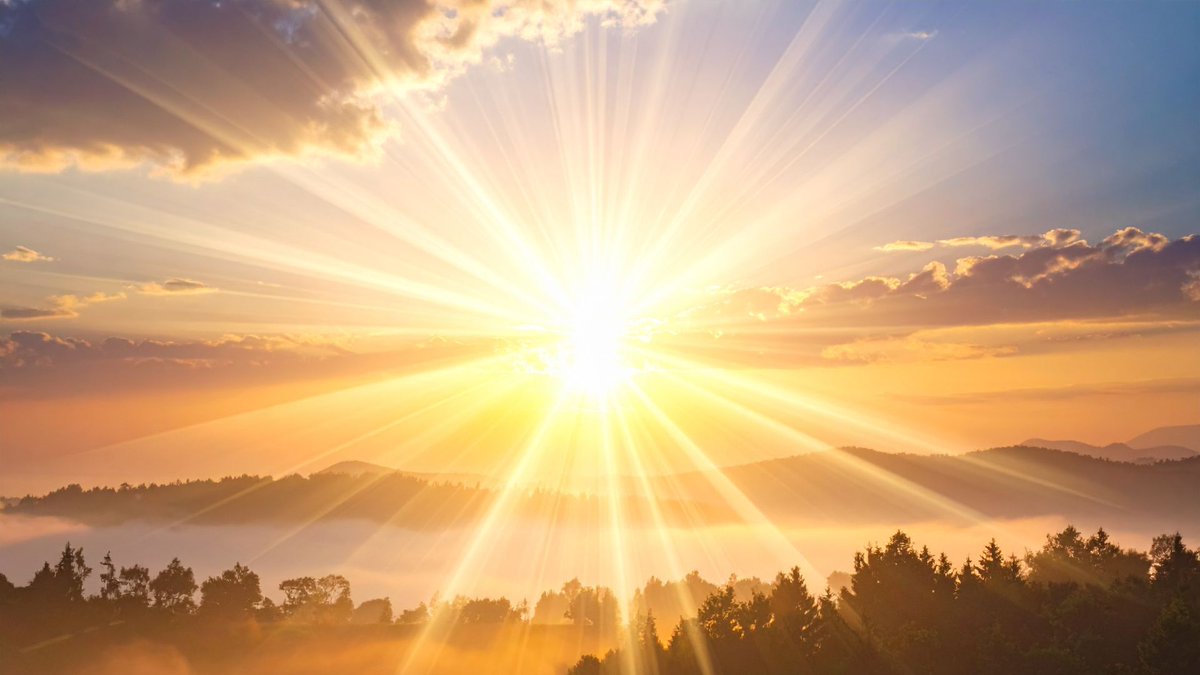 Compañía de Jesús tweet media