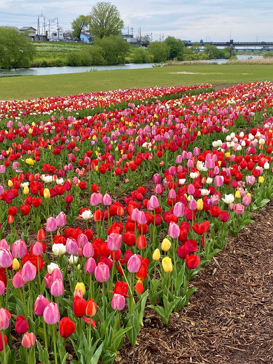 yukip🍀*゜ tweet media