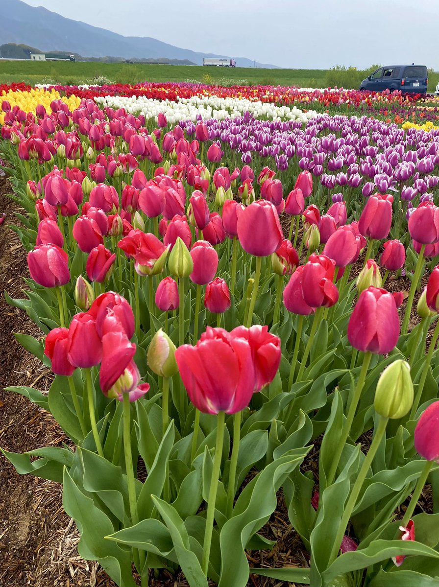 yukip🍀*゜ tweet media