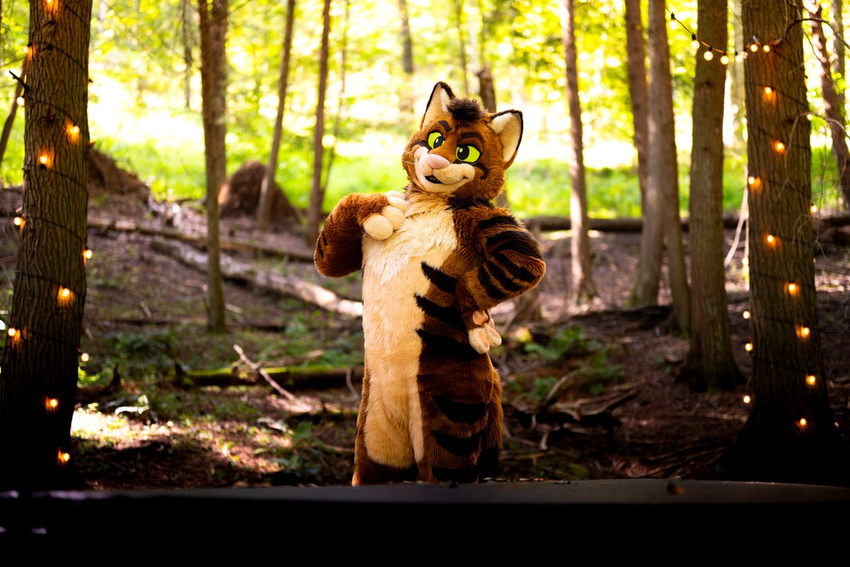 ToofyTaro's tweet photo. I haven't even been doing Photography for a full year yet. But here's some of my favorite photos I've taken so far!

Gimme backrubs n snugs, and I'll follow you around with my camera :3

(I'll also accept 🧋 as payment) https://t.co/FemPeSFDPR