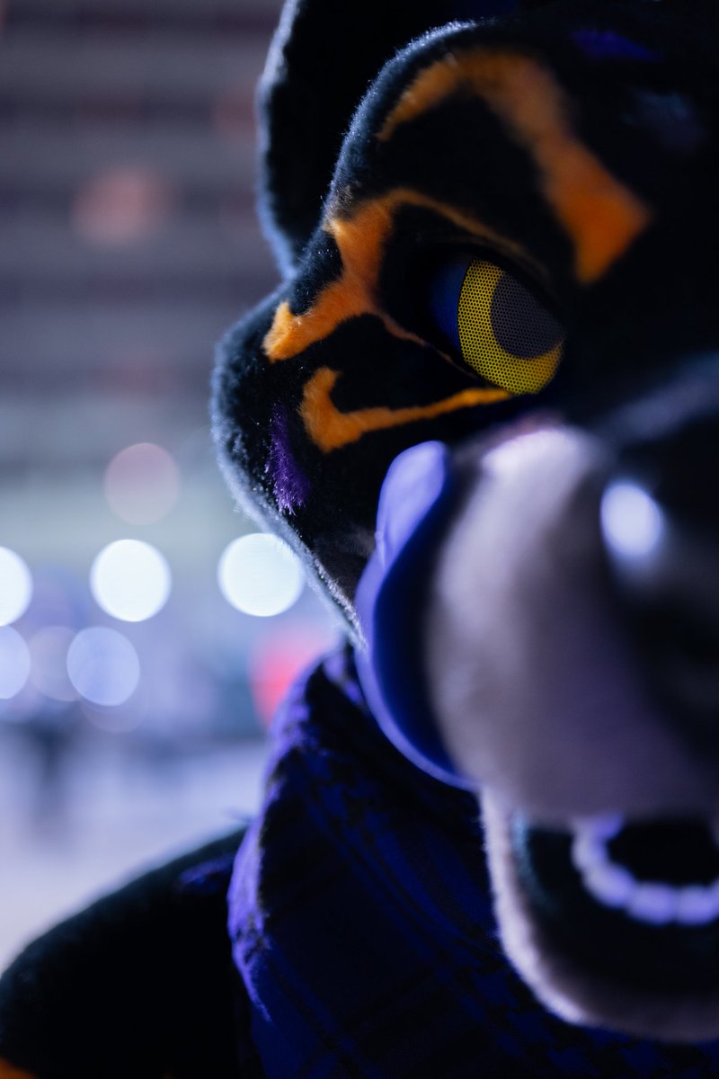 ToofyTaro's tweet photo. I haven't even been doing Photography for a full year yet. But here's some of my favorite photos I've taken so far!

Gimme backrubs n snugs, and I'll follow you around with my camera :3

(I'll also accept 🧋 as payment) https://t.co/FemPeSFDPR
