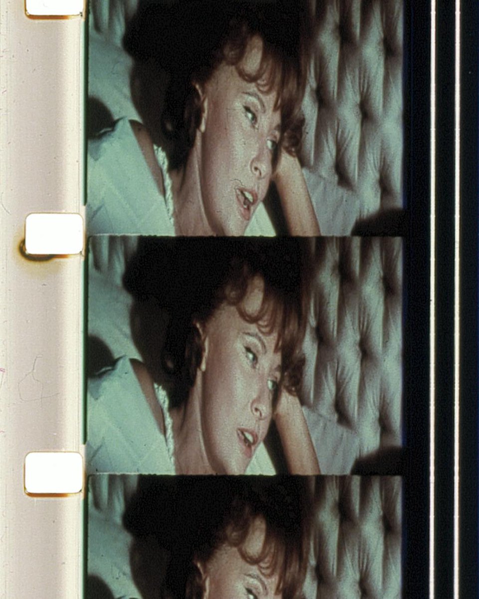 Experimental Cinema tweet media