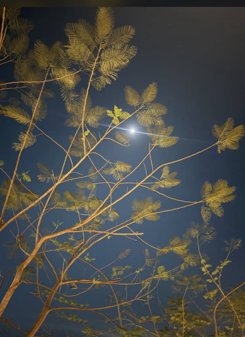 Ayo 📈 tweet media