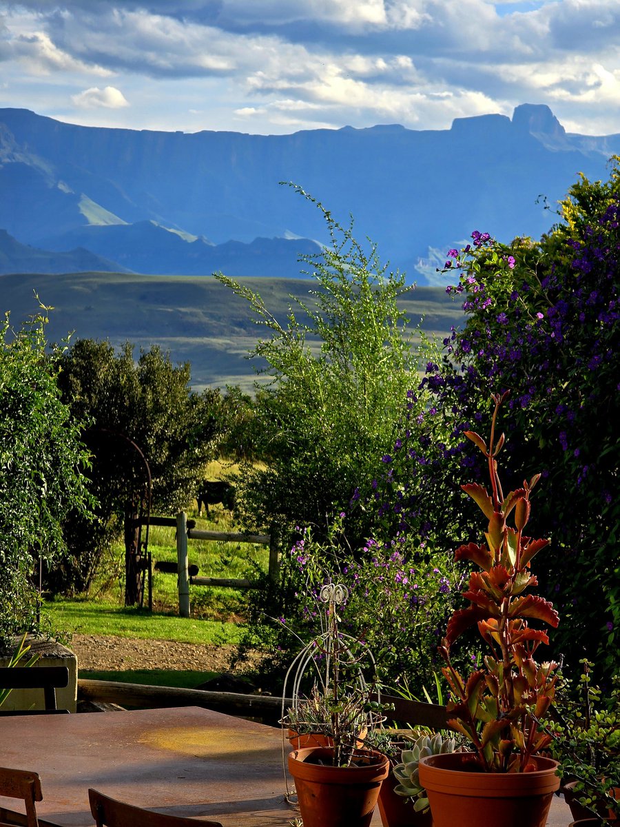 berghouse's tweet photo. Mountains are calling, birds are singing, views are spectacular!
Complete your Drakensberg bucket list!
.
.
.
.
.
#travel #northerndrakensberg #midway #halfway #joburg #durban https://t.co/mUVPNLF17U