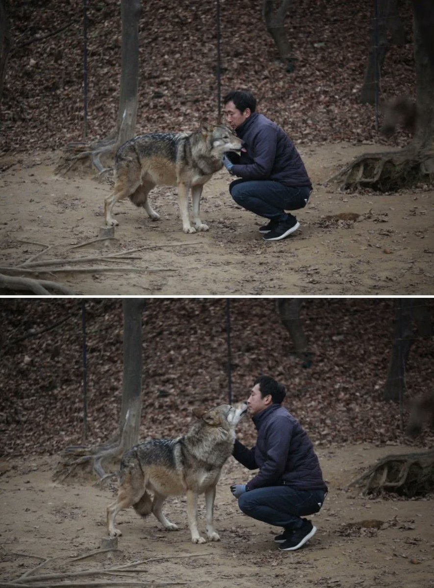 아스피날 tweet media