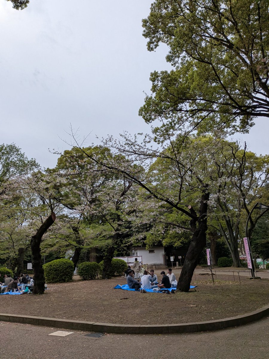 ぐんまちゃん tweet media