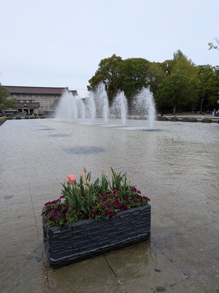 ぐんまちゃん tweet media