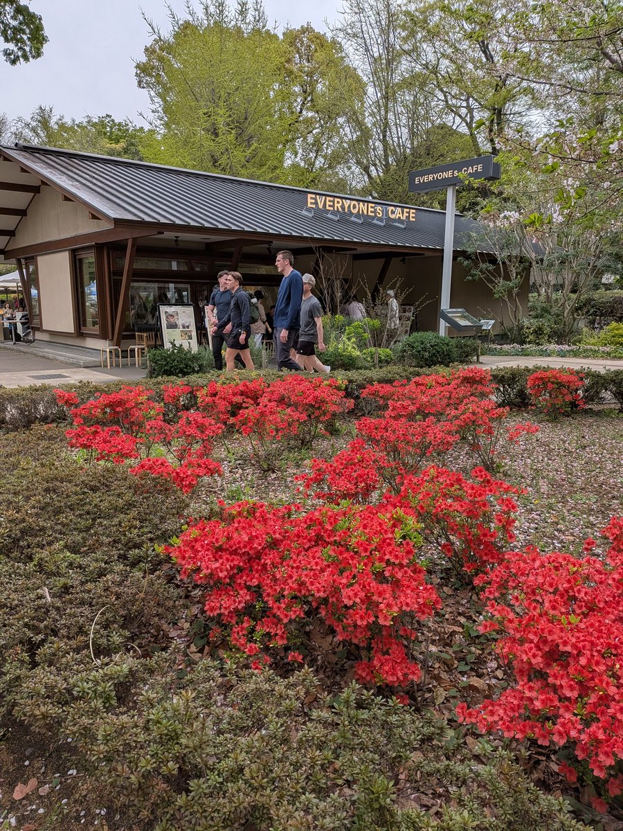 ぐんまちゃん tweet media