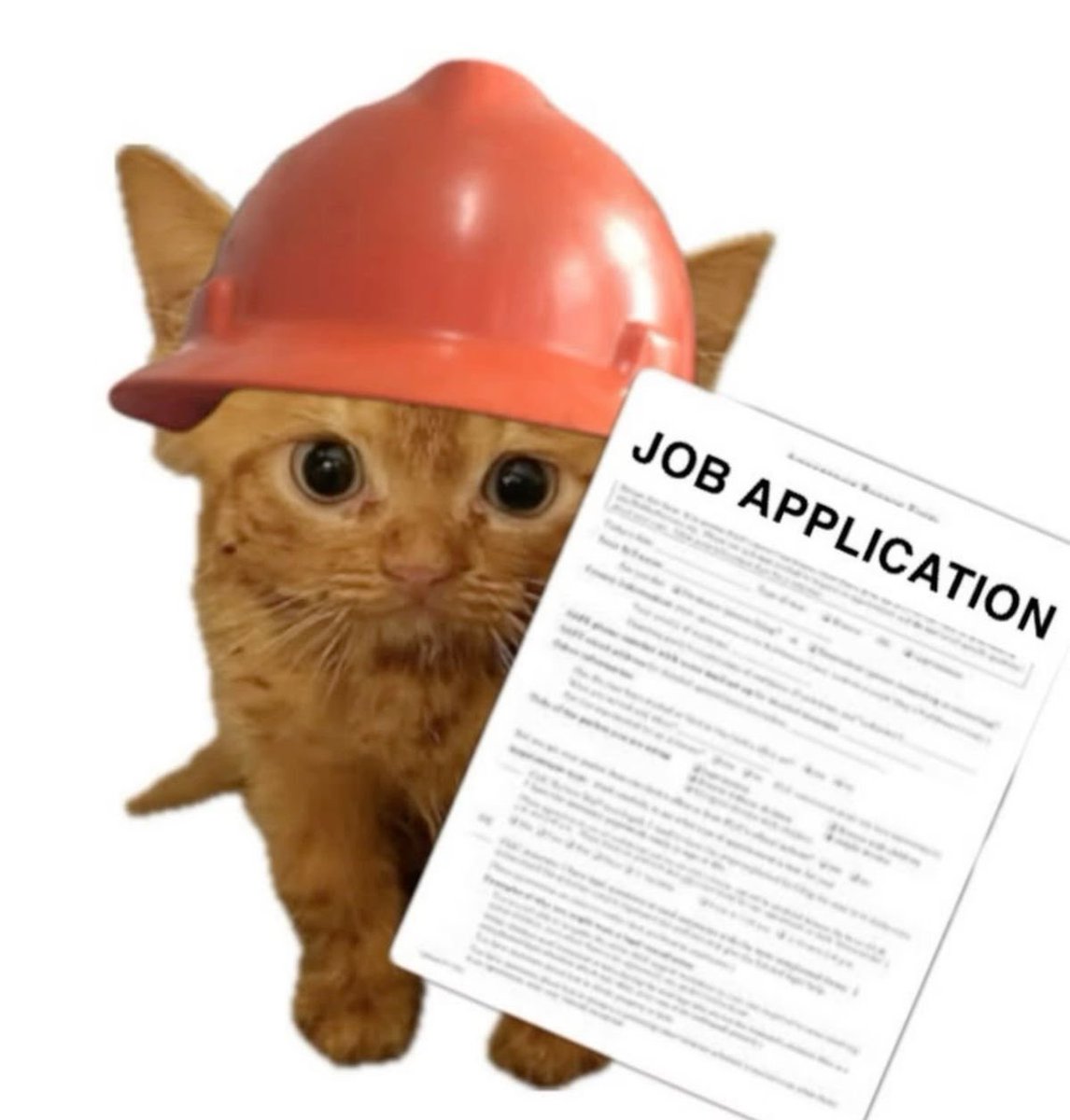 FACETOLOGY tweet media