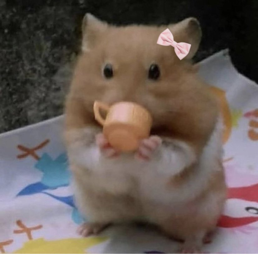 𝖭𝗂𝗇𝗀𝗇𝗂𝗇𝗀. tweet media