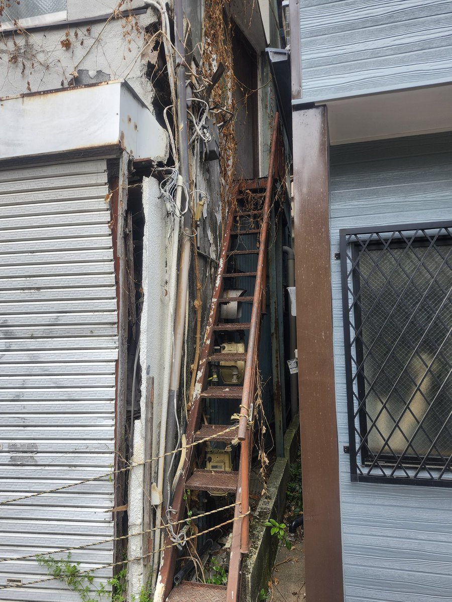 石井さん tweet media