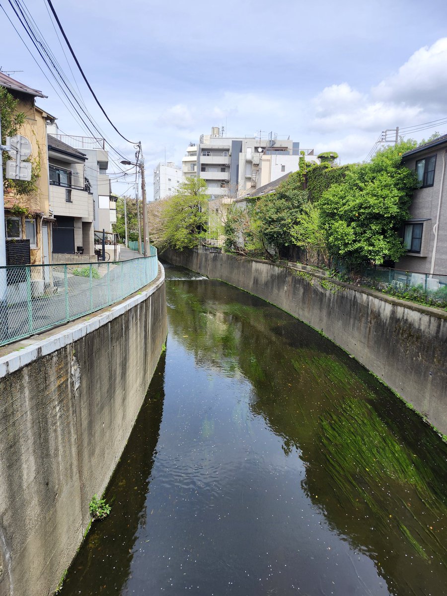 石井さん tweet media