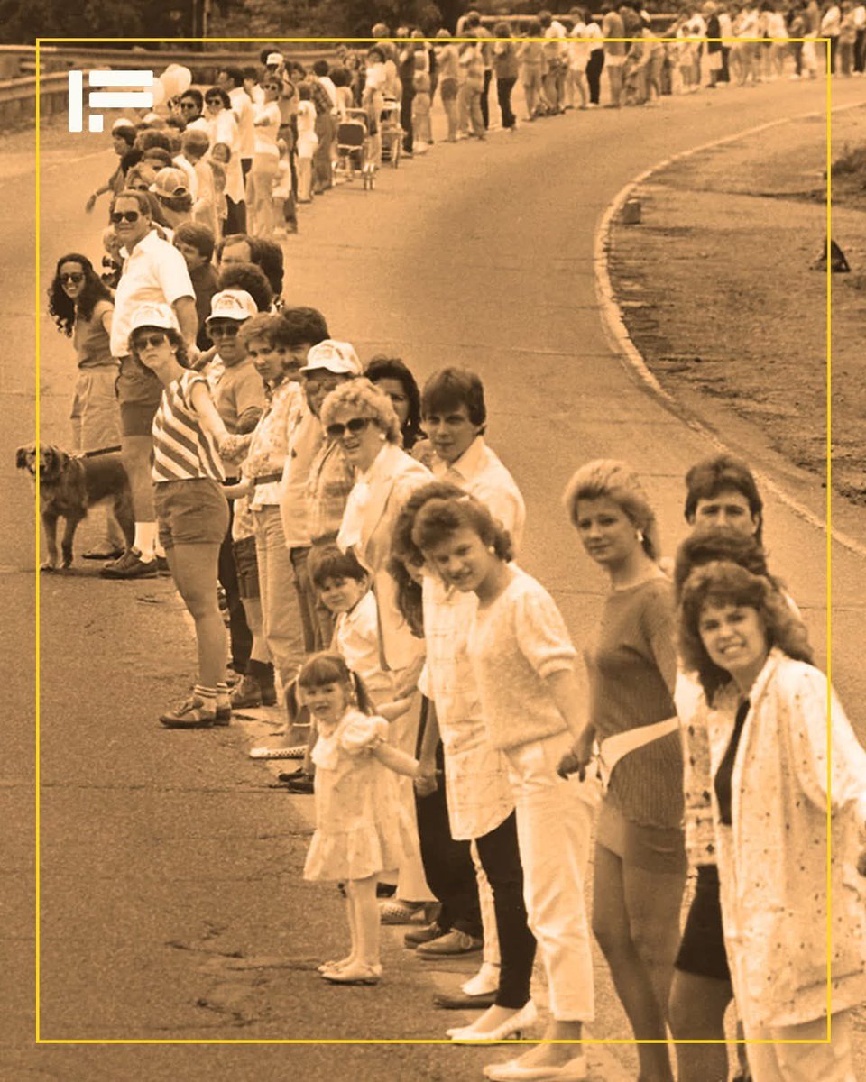 Mr PitBull tweet media