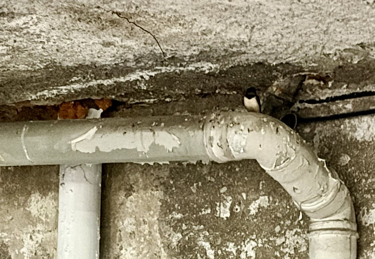 Javier Santamarta del Pozo tweet media