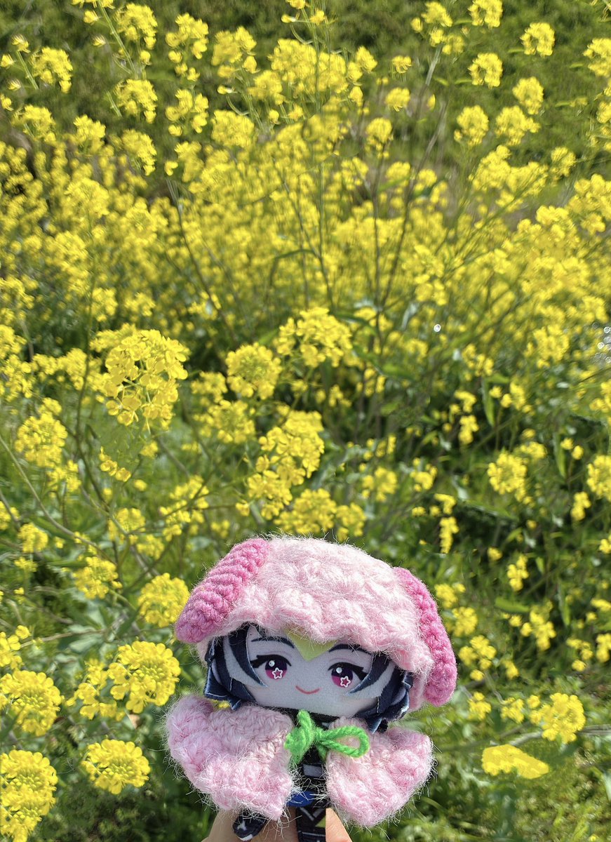 𝐏𝐨𝐦𝐞 tweet media