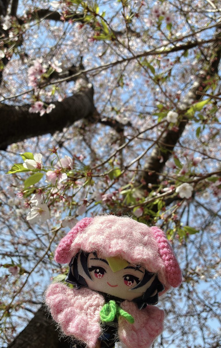 𝐏𝐨𝐦𝐞 tweet media