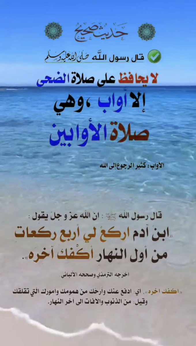 الدلما tweet media