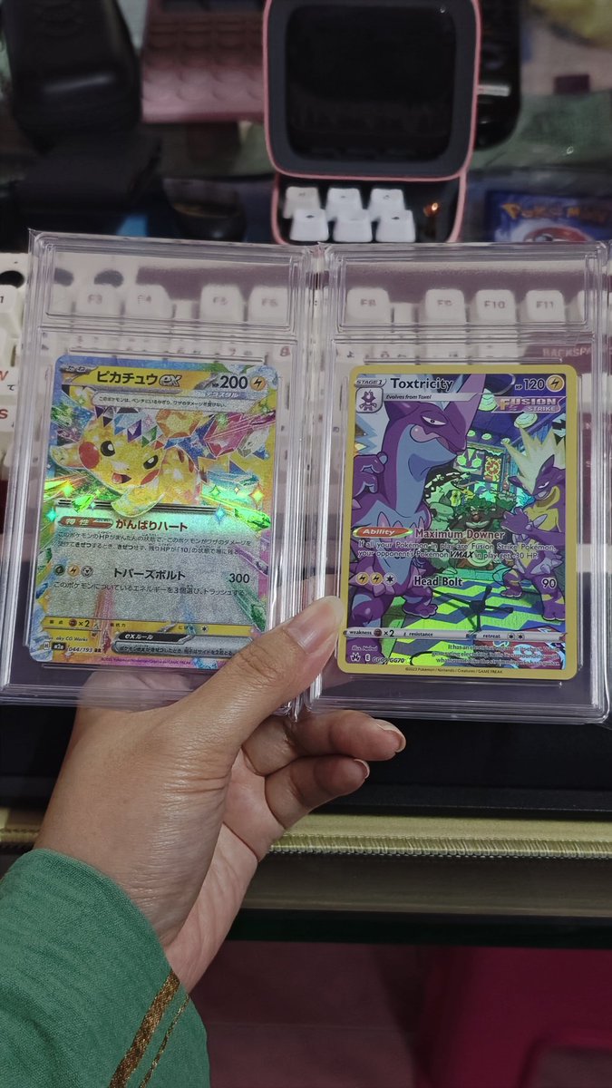 Mar | ⭕ 🍪🐀🐦🐎 tweet media