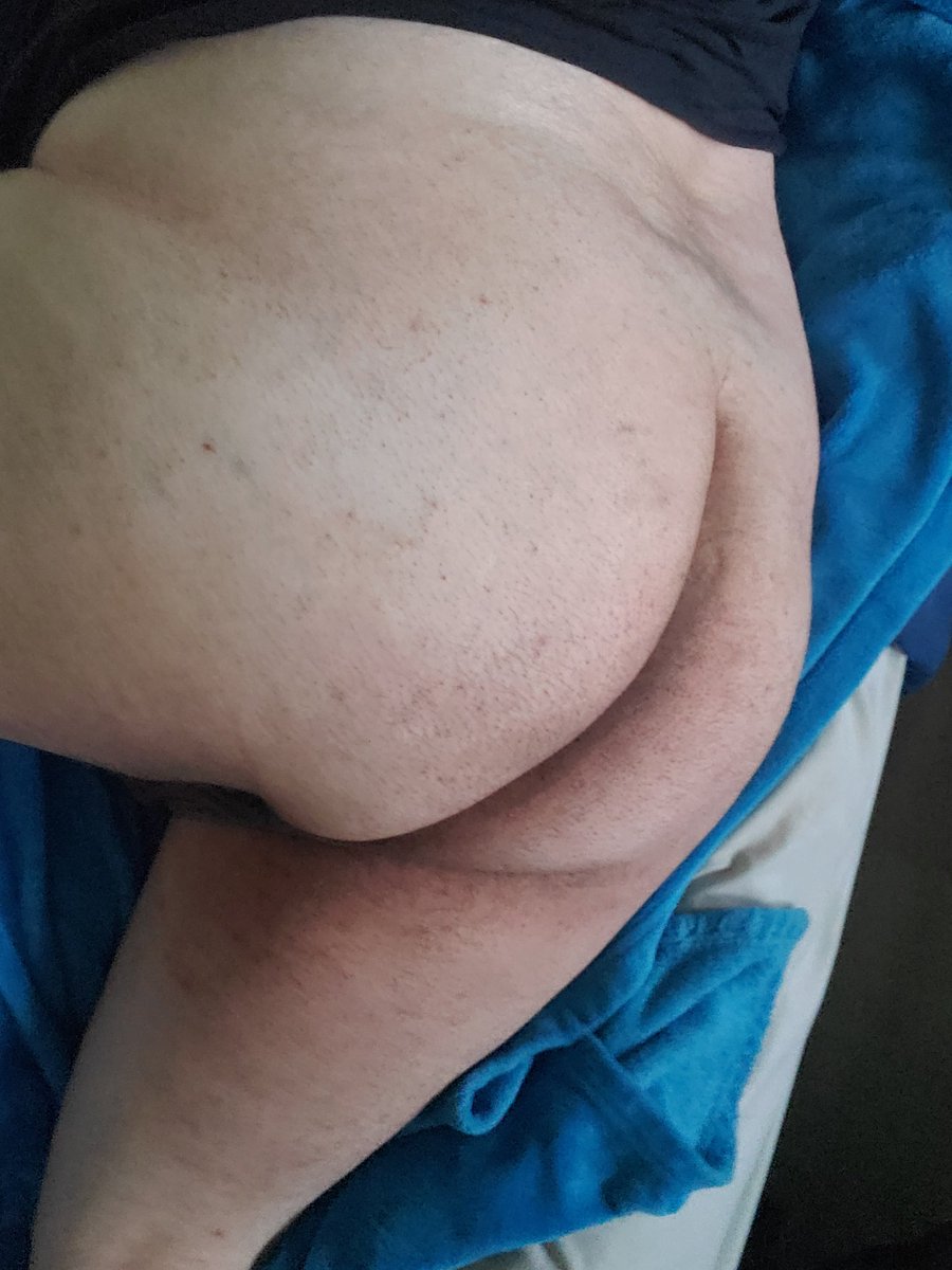 fat ass moth 🦋 tweet media