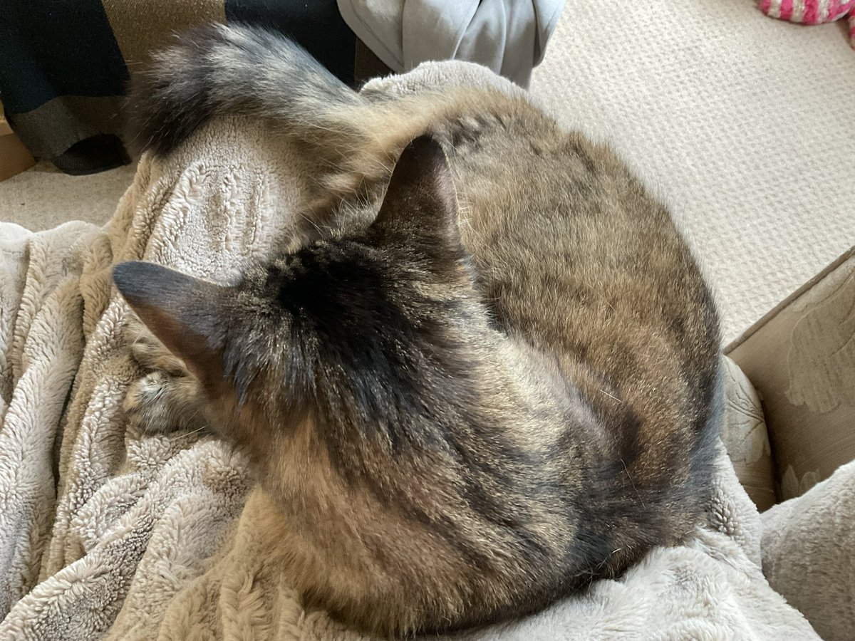 Guy Andrews-Scott tweet media