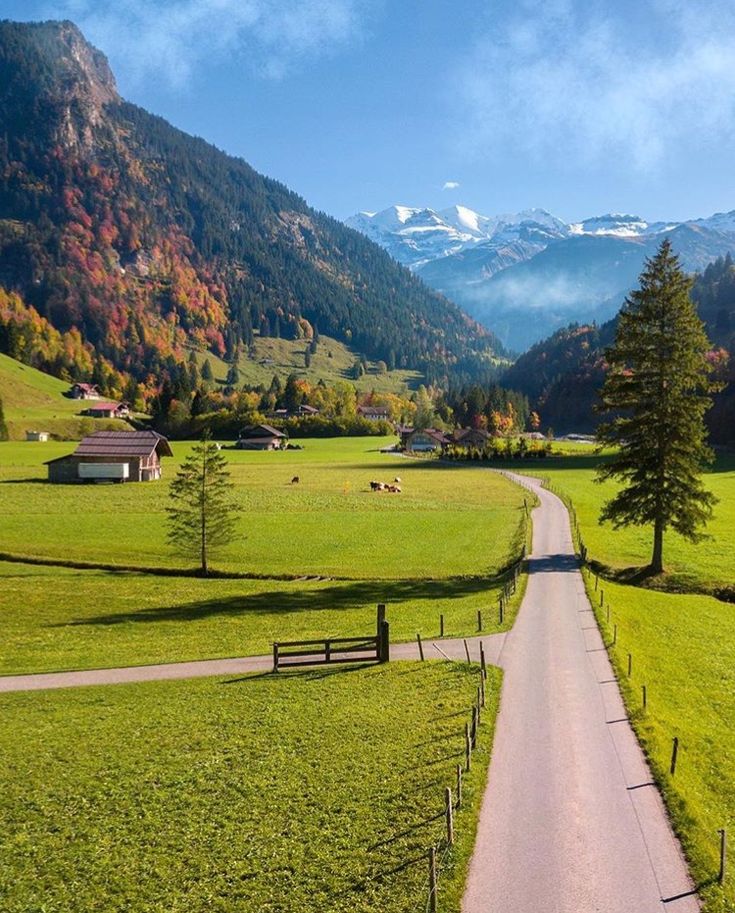 Doğadan görüntüler tweet media