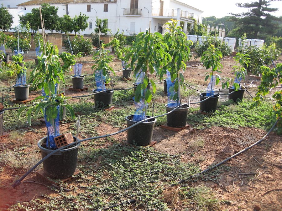 Vida Rural tweet media
