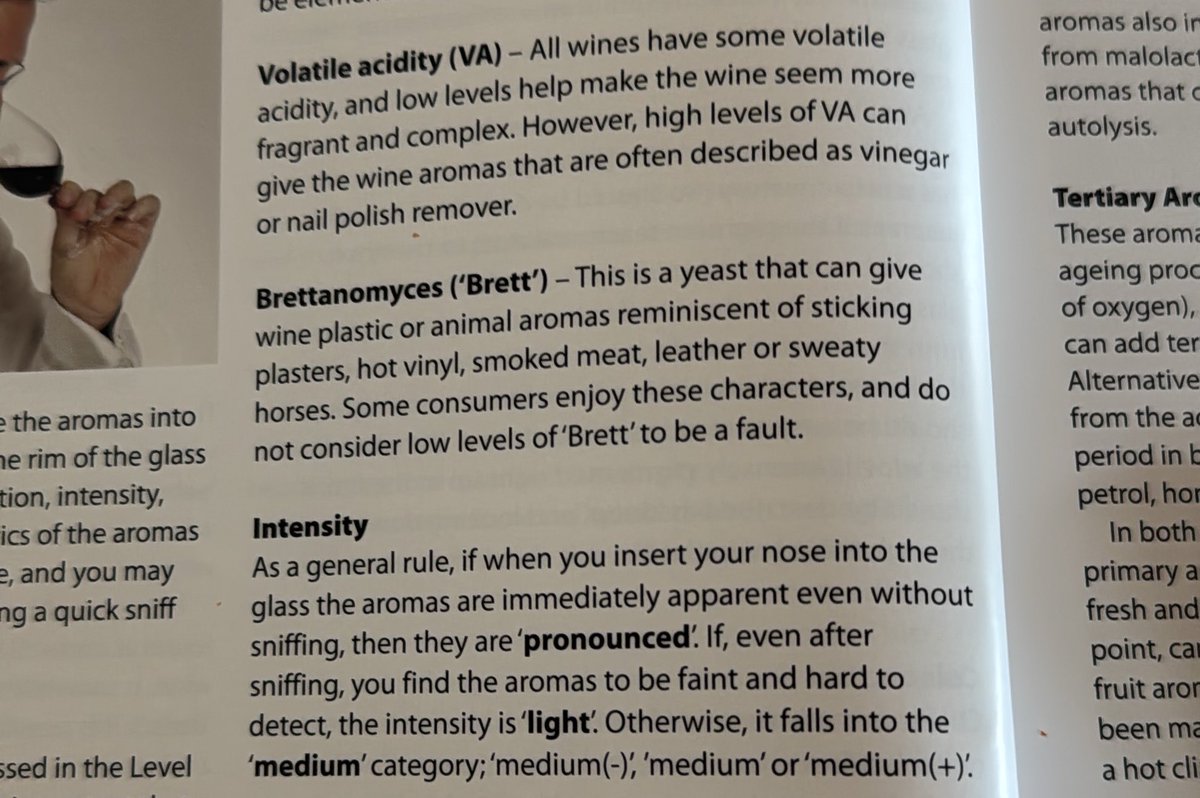 daisy 💫 tweet media