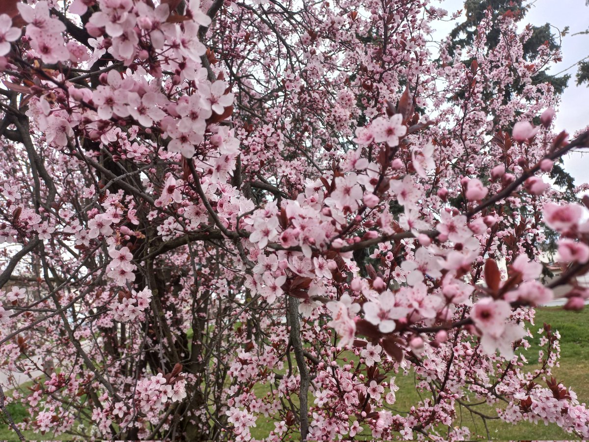 🌻Zuza🌻Era Wodnika💙✌🔮 tweet media