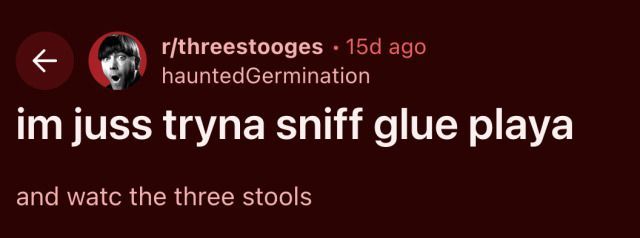 horse dentist tweet media