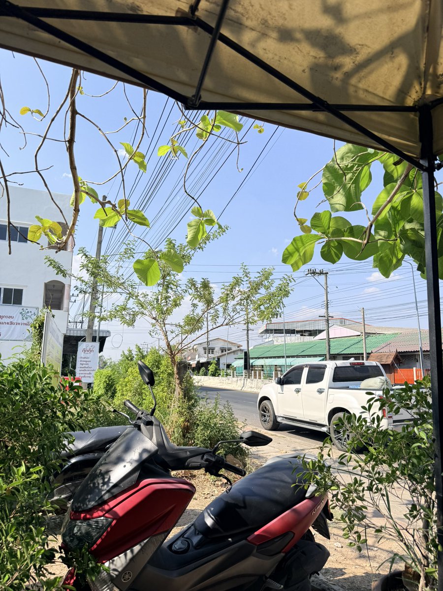 เดียวดาย ALONE😢 tweet media