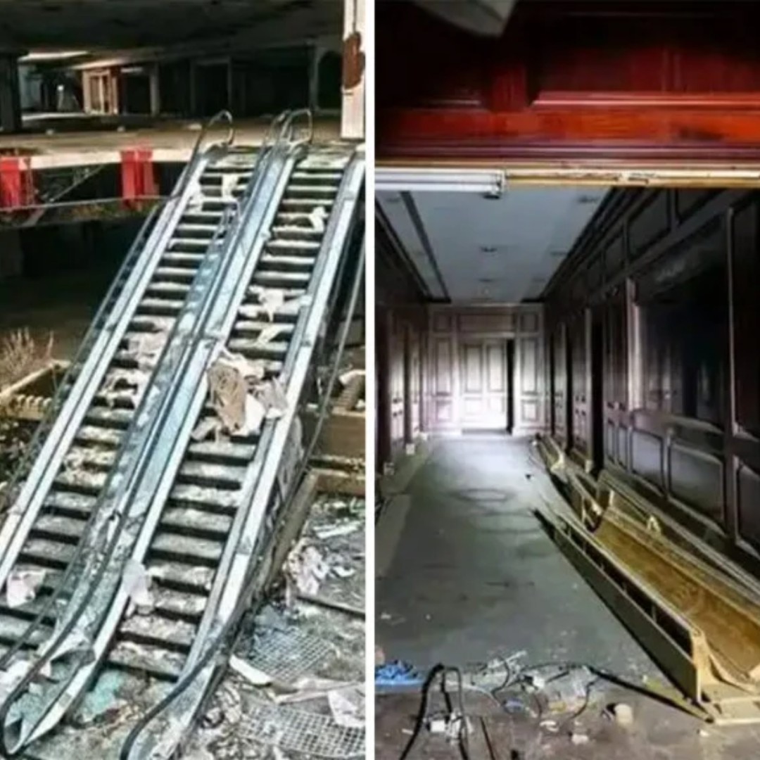 Democratic Alliance Gauteng Legislature tweet media