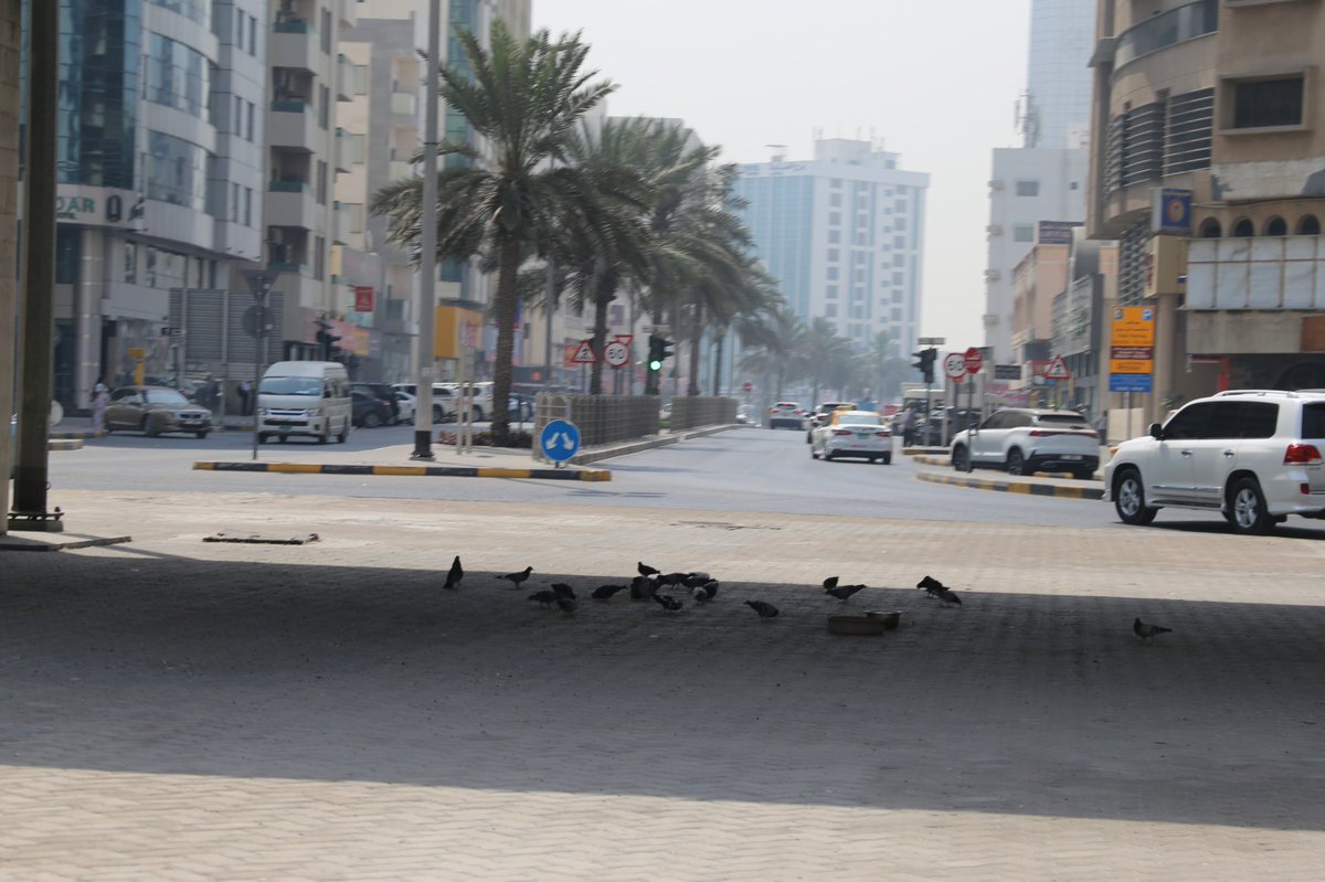 Untitled tweet media