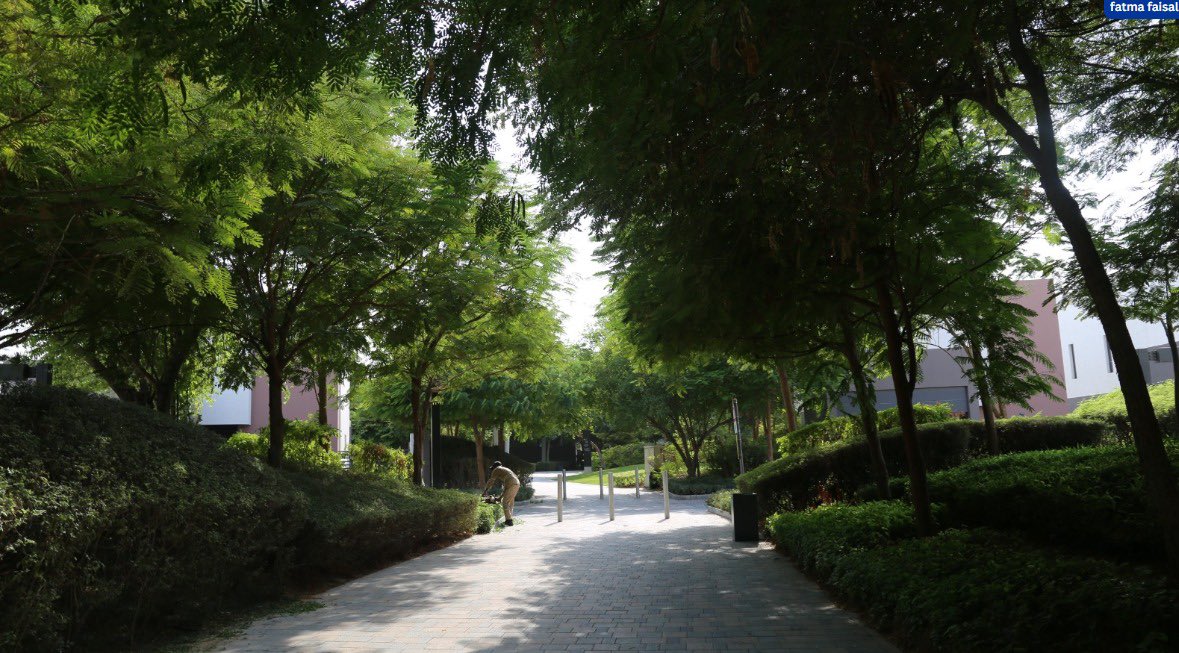 Untitled tweet media