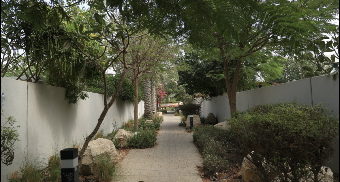 Untitled tweet media