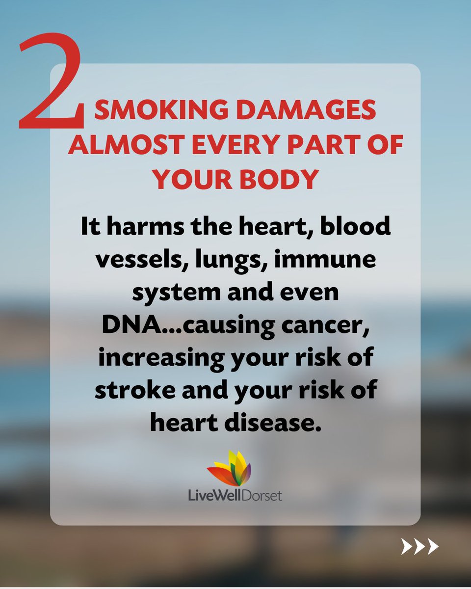 LiveWell Dorset tweet media