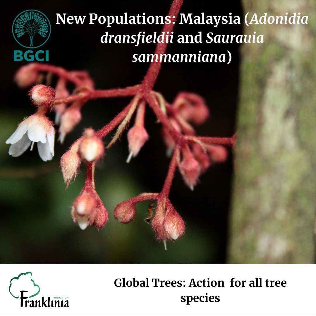 Botanic Gardens Conservation International tweet media