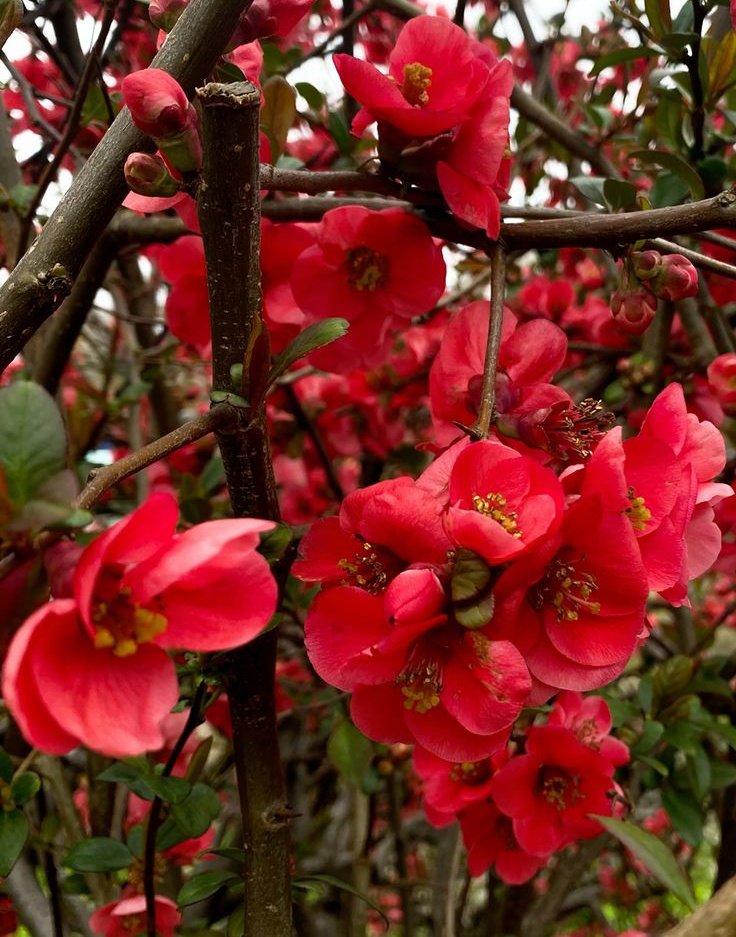 Ірина Вся🌺💛💙 tweet media