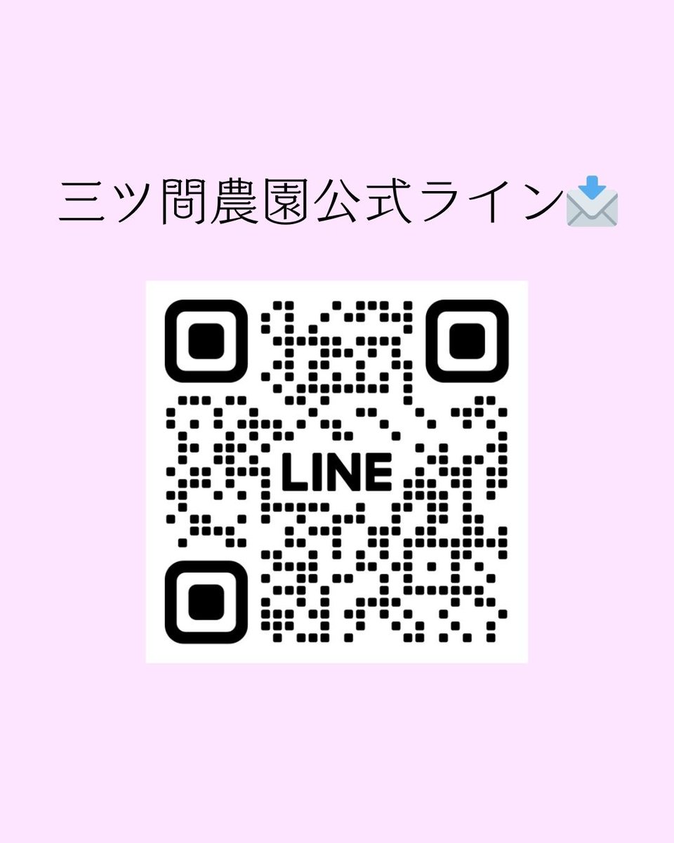 三ツ間卓也@イチゴ農家へ tweet media