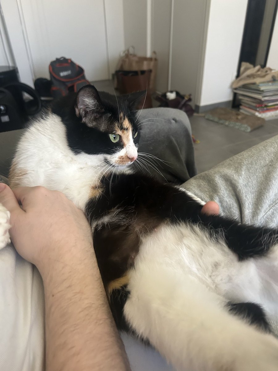 Tartelette tweet media