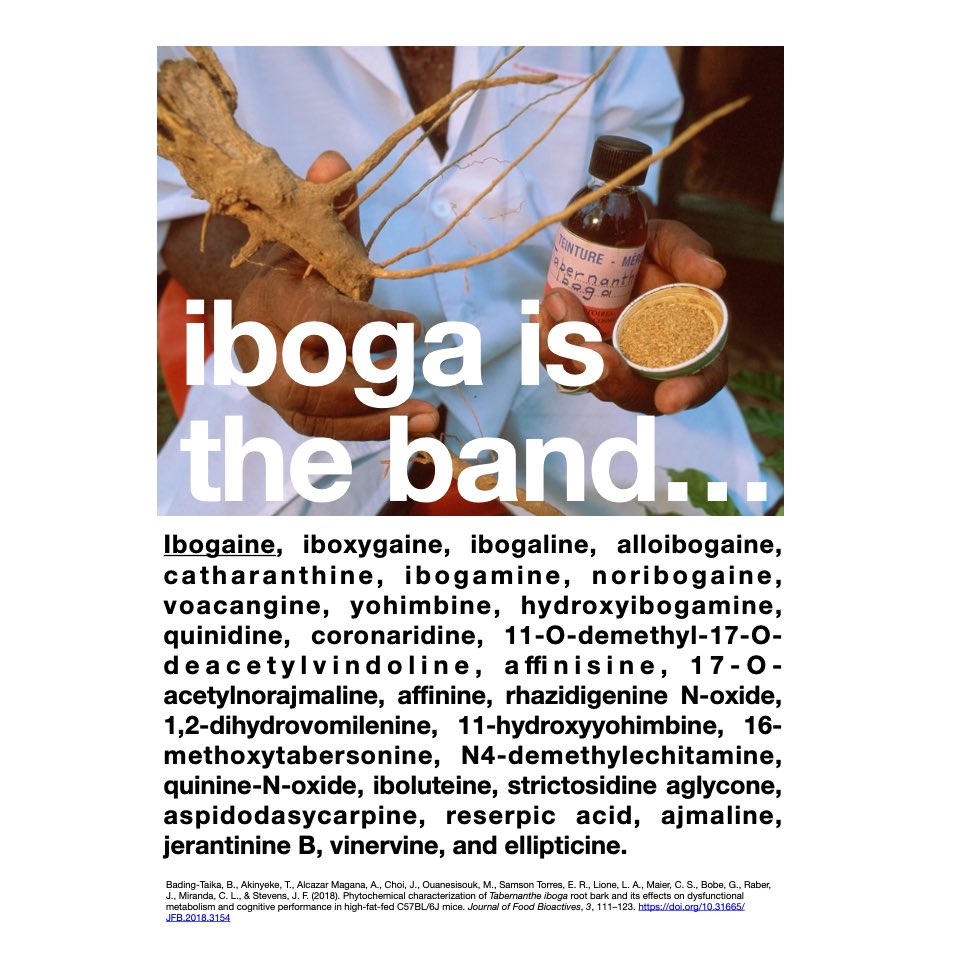 Dr. Joseph Barsuglia tweet media