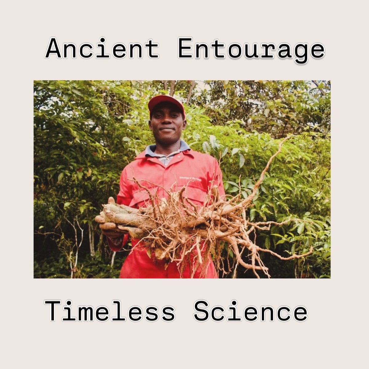 Dr. Joseph Barsuglia tweet media