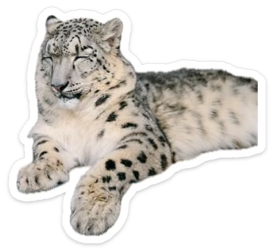 Spot 斑点 🇹🇼 tweet media