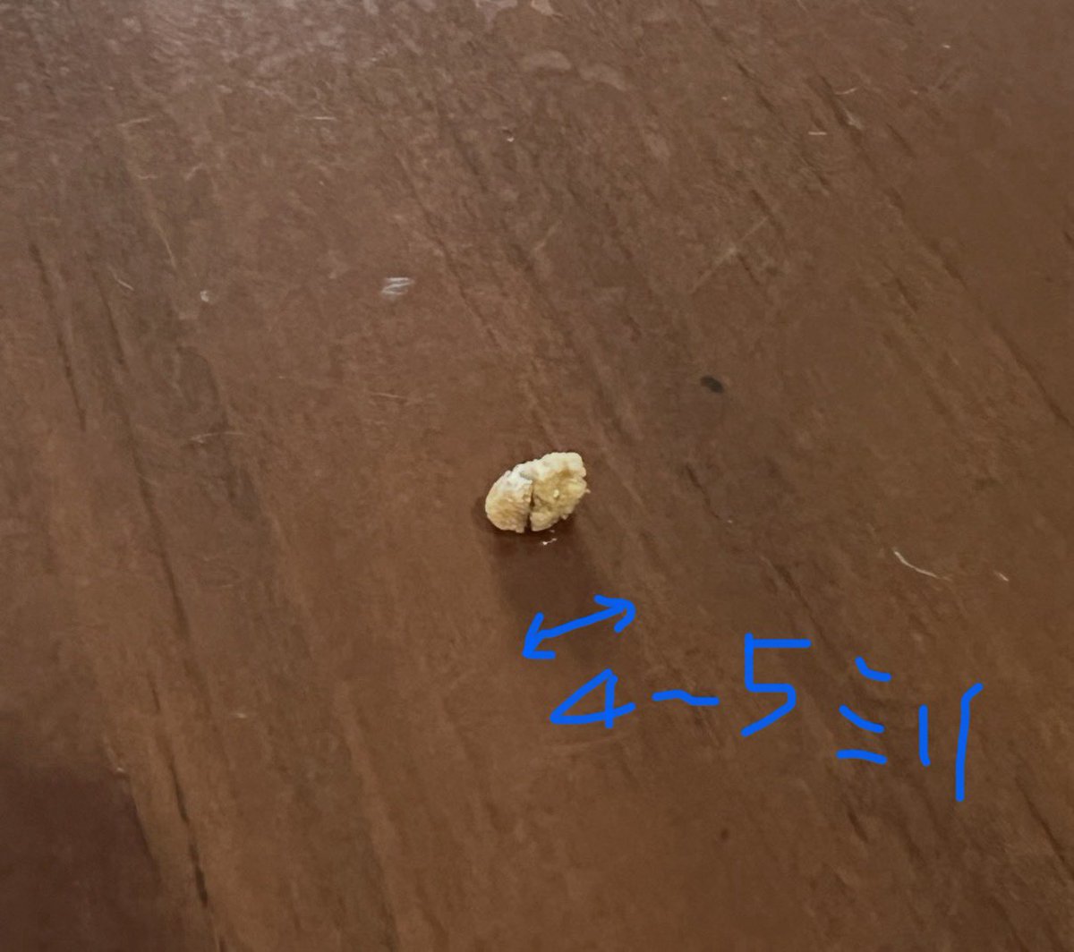 bla_silv(あっきー♪) tweet media