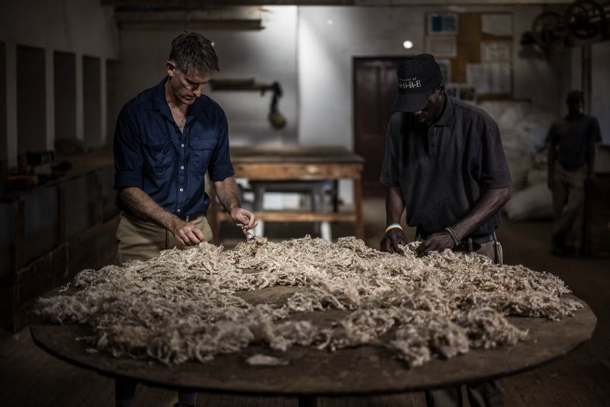 cavie_acci's tweet image. South Africa Consolidates Hegemony in the Global Mohair Market

acci-cavie.org/en/south-afric…

#BusinessIntelligence #Compliance #StrategicCommunication #DueDiligence #CompetitiveIntelligence #AfricanMarkets #Intelligence